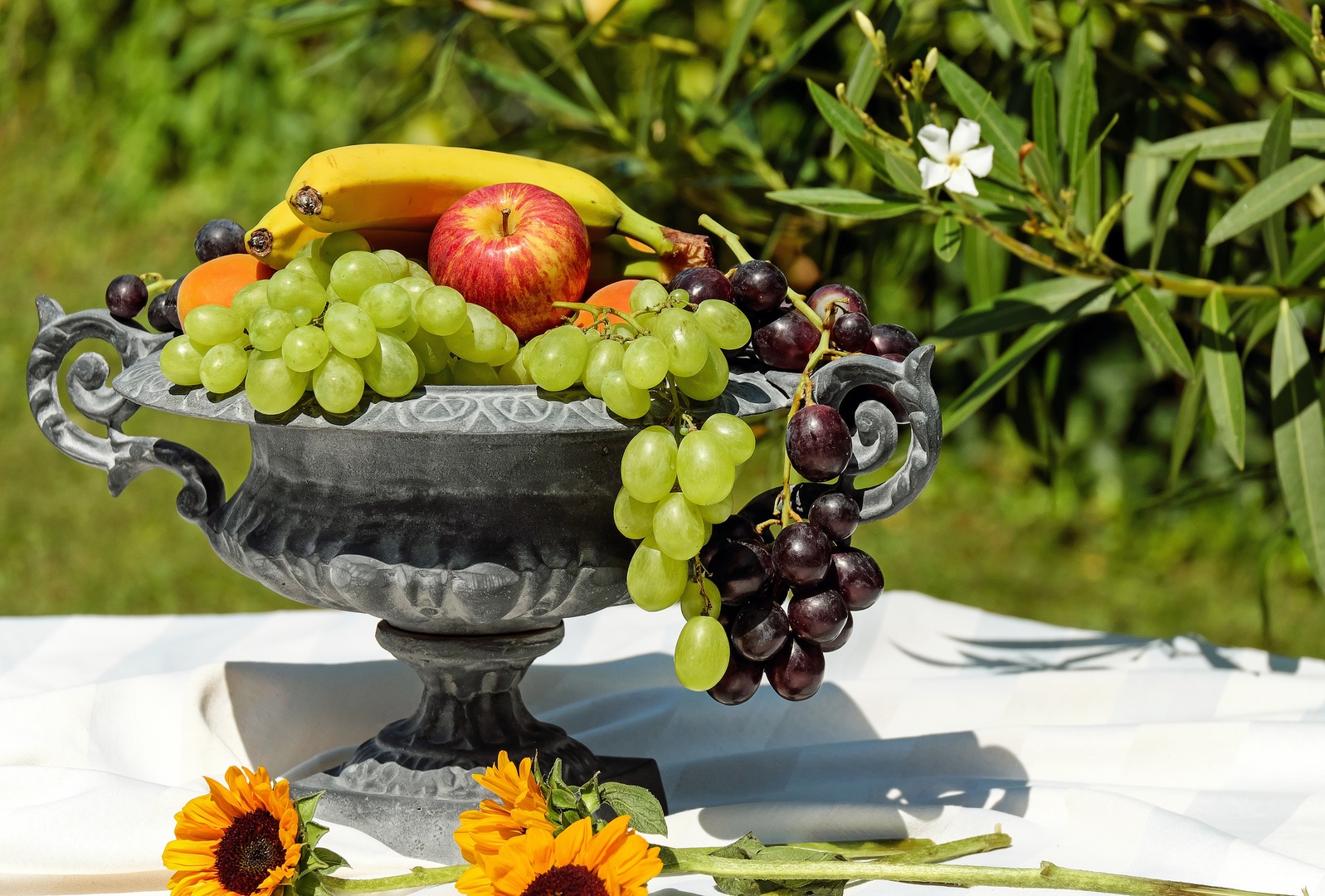 Grapes are a non-climacteric type of fruit